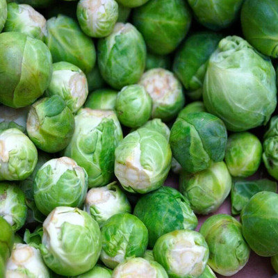 WILLVINE VNR -I Catskill Brussel Sprouts [2.5g] Seed(750 per packet)