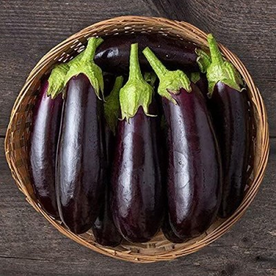 Qualtivate HUA-8A Eggplant Brinjal (Diamond Seeds) Seed(300 per packet)