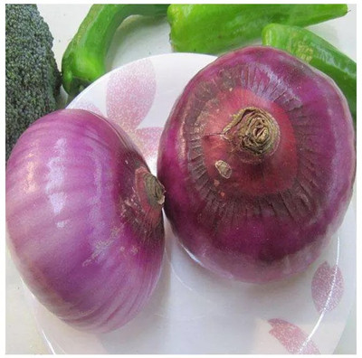 WATIKA Red (कांदा) Onion Seed(2000 per packet)