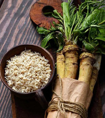 CYBEXIS Horseradish2400 Seeds Seed(2400 per packet)