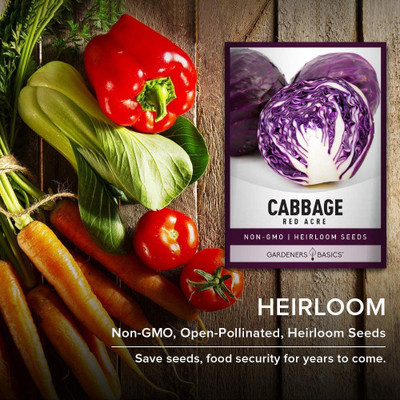 WILLVINE XLL-904 Cabbage Seeds Red Acre Heirloom Seed(200 per packet)