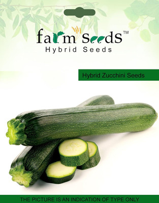 ActrovaX Zucchini Long [5gm Seeds] Seed(5 g)