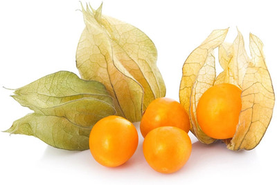 QALANDAR Cape Gooseberry (रसभरी) Seeds Seed(30 per packet)