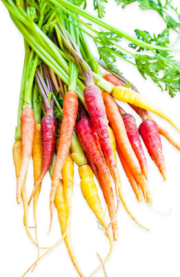 Qualtivate LX-499 Carrot Baby Rainbow Mixture Seed(500 per packet)