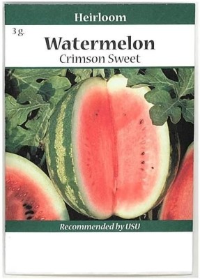 KNESSiN Non-GMO, Watermelon | Premium Home Gardening Melons[100 Seeds] Seed(100 per packet)