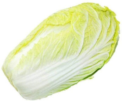 CYBEXIS Chinese Cabbage Seed2000 Seeds Seed(2000 per packet)