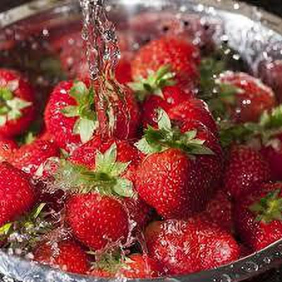 XOLDAA F1 best quality hybrid strawberry Seed(110 per packet)