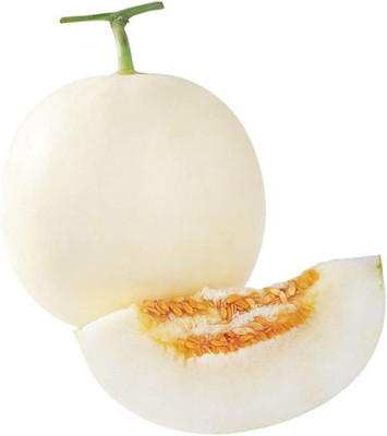 KNESSiN White Muskmelon Seeds Seed(100 per packet)