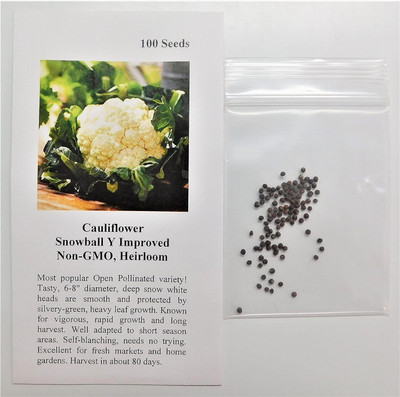 WILLVINE MAH -IV Cauliflower Snowball Y Improved FBA-4552 (White)[1g, 300 Seeds] Seed(300 per packet)