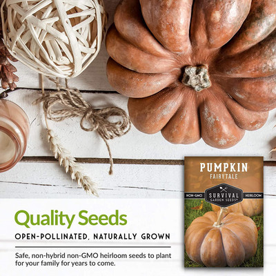 VibeX ® XLR-446 Fairy Tale Pumpkin Seed Seed(50 per packet)
