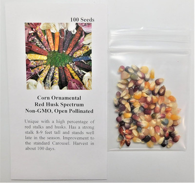 Qualtivate NDIR-264 Corn Ornamental Red Husk Spectrum Seed(500 per packet)