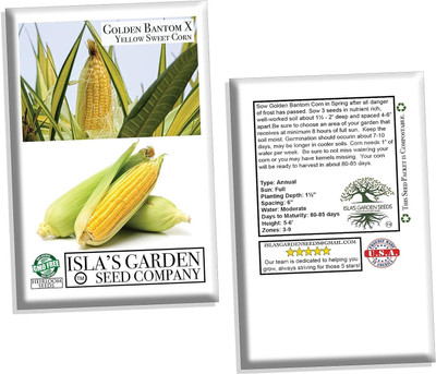 WILLVINE MAH -XII Golden X Bantom Corn Seeds for Planting-[1Kg] Seed(4000 per packet)
