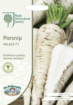 KNESSiN VII-72 Radish Parsnip Seed(200 per packet)