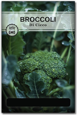 Qualtivate PUAS-1A Non-GMO Broccoli Gardening Seeds Seed(300 per packet)