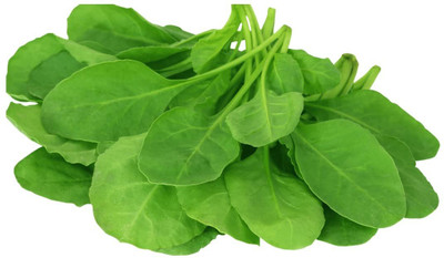 VibeX ® XLR-398 Spinach/Palak Vegetable Seeds Seed(500 per packet)