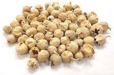 TRH Paneer DODI Seed(400 per packet)
