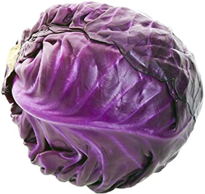 ibains Small ornamental cabbage seed pack of 310 Seed(310 per packet)