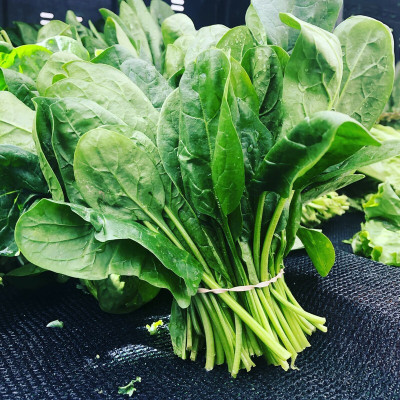 Hybrid Galaxy Spinach Seed(10 per packet)