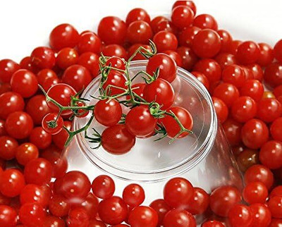 Qualtivate PUA-4A Sweet Pea Currant Tomato Seed(300 per packet)
