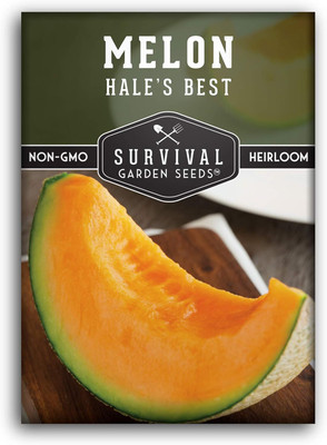 Qualtivate PUA5-A Hale's Best Musk Melon Seeds Seed(200 per packet)