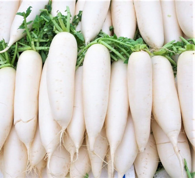 Aywal Radish Chandani Organic F1 Hybrid Seed(650 per packet)