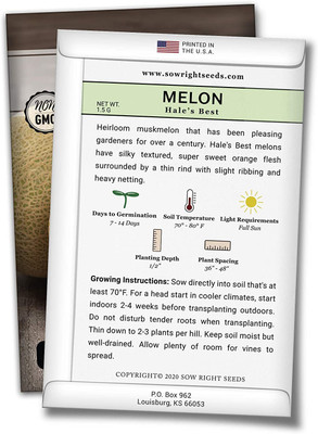 CYBEXIS LX-64 - Hybrid Best Musk Melon - (150 Seeds) Seed(150 per packet)