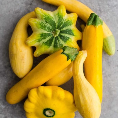 CYBEXIS PAU-96 - Zucchini and Squash Mix - (225 Seeds) Seed(225 per packet)