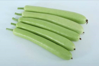Quentova Bottle Gourd Ghiya-VIC Seed(50 per packet)