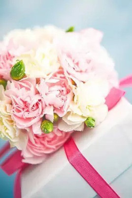 Aro Carnation Seed(45 per packet)