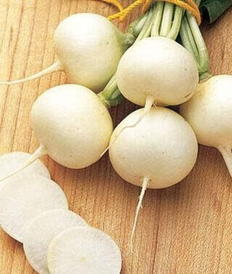 Qualtivate ICRA-3A Ping Pong (Round White) Radish Seeds Seed(300 per packet)