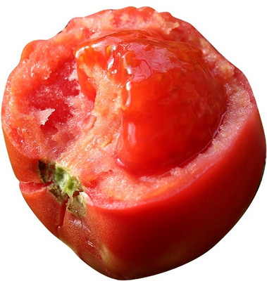 VRAKSHA Desi Salad Red Tomatoes Seed(300 per packet)