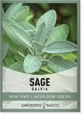 VibeX ATS-84 - Sage for Planting - (150 Seeds) Seed(150 per packet)
