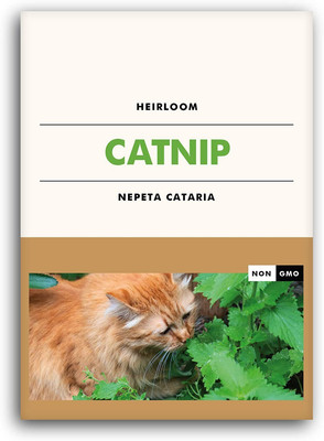 VibeX XLL-86 - Catnip for Planting - (13500 Seeds) Seed(13500 per packet)