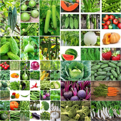 ibains Rainy season vegetable seeds combo biij 213 Seed(213 per packet)