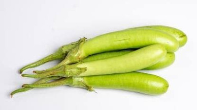 Aywal Begun Seed(110 per packet)