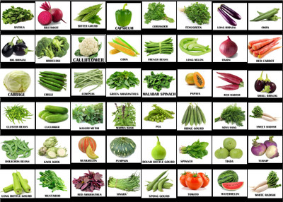 BEEJ TANTRA 45 VARIETY OF VEGETABLE FRUIT AND HERB SEEDS Seed(45 per packet)