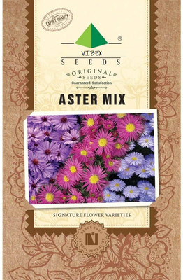 CYBEXIS Imported Aster Mix Flower Seeds Seed(1 g)