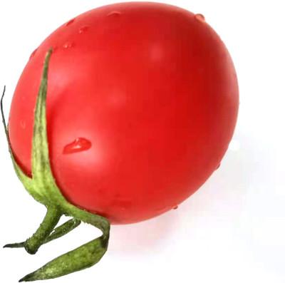 VRAKSHA Cherry Tomatoes Seed(300 per packet)