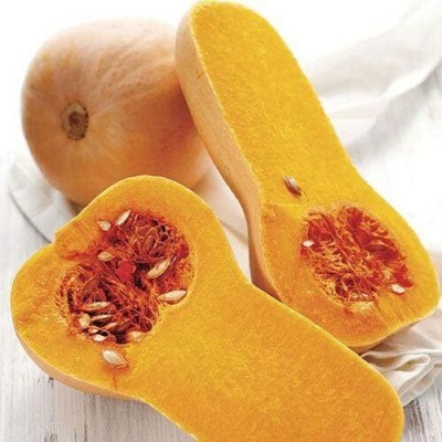 Qualtivate PUAS-8A Butternut Hybrid Winter Squash Seed(30 per packet)