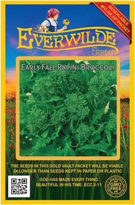 WILLVINE HAR -VI Early Fall Rapini Broccoli Seeds [1g] Seed(300 per packet)