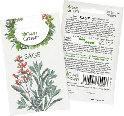 KNESSiN QLY-73 Sage Seed(100 per packet)