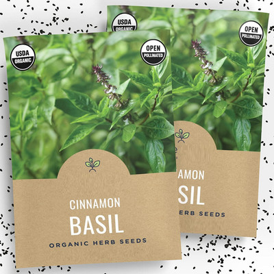 VibeX XLL-1 - Basil Cinnamon Non GMO - (4500 Seeds) Seed(4500 per packet)
