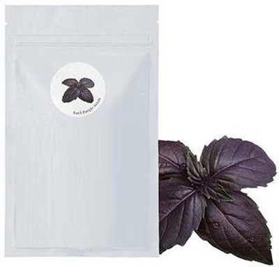 CYBEXIS Tulsi PURPLE SEEDS2800 Seeds Seed(2800 per packet)