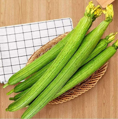 CYBEXIS Loofah Seeds Light Green Skin Non-GMO Climbing Sponge Gourd800 Seeds Seed(800 per packet)