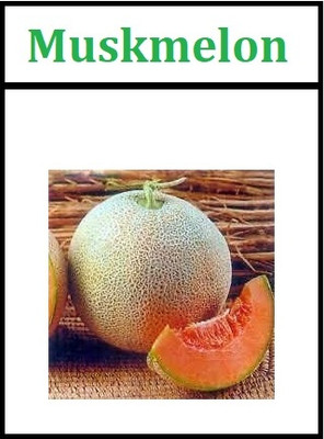 WILLVINE Kharbooza Seeds - Muskmelon Seeds Germination-[2500 Seeds] Seed(2500 per packet)