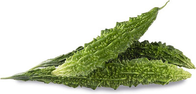 XOLDAA F1 BEST QUALITY BITTER GOURD SEEDS Seed(17 per packet)