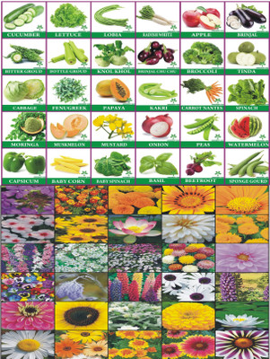 Greenery Hub 30- Flower Seeds Combo For Your Home garden Seed(30 per packet)