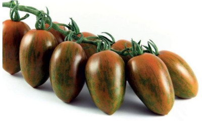 VRAKSHA TOMATO Seed(1000 per packet)
