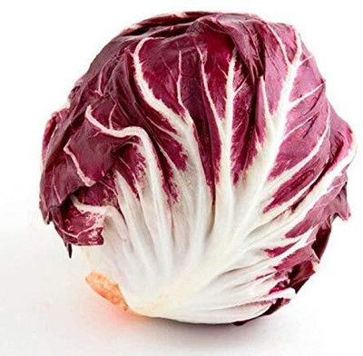 KNESSiN Red Cabbage - Radicchio Di Treviso Italian Vegetable Seeds Seed(200 per packet)