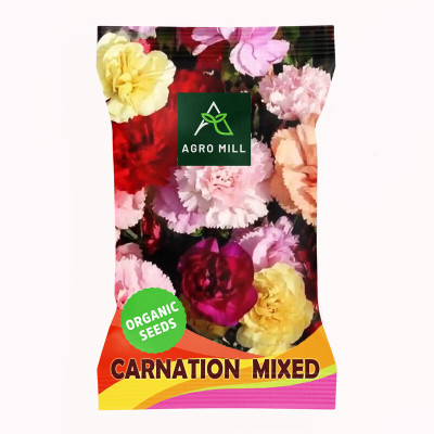 AGRO MILL CARNATION/DIANTHUS MIXED PREMIUM QUALITY FLOWER Seed(20 per packet)